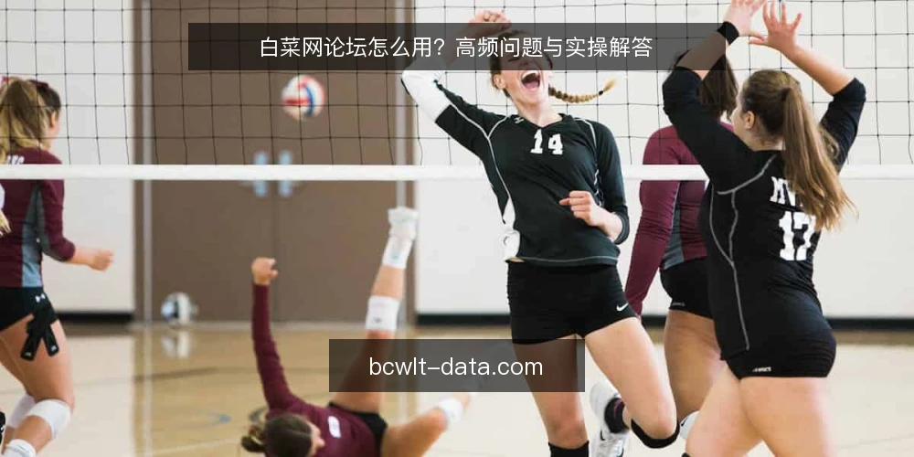 白菜网论坛怎么用?高频问题与实操解答 — 白菜网论坛是什么?它主要解决什么问题? 配图