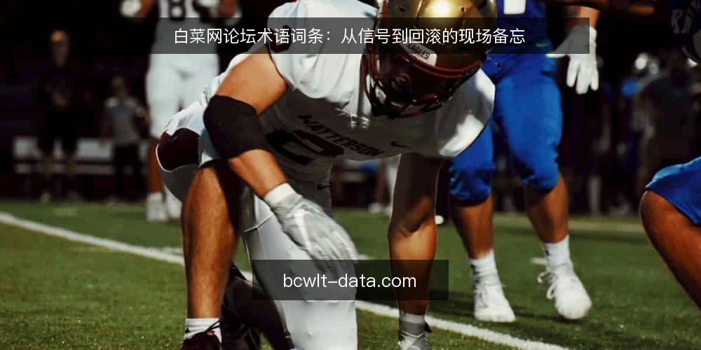 白菜网论坛术语词条：从信号到回滚的现场备忘 — 信号观察：白菜网论坛的术语与现场提示 配图