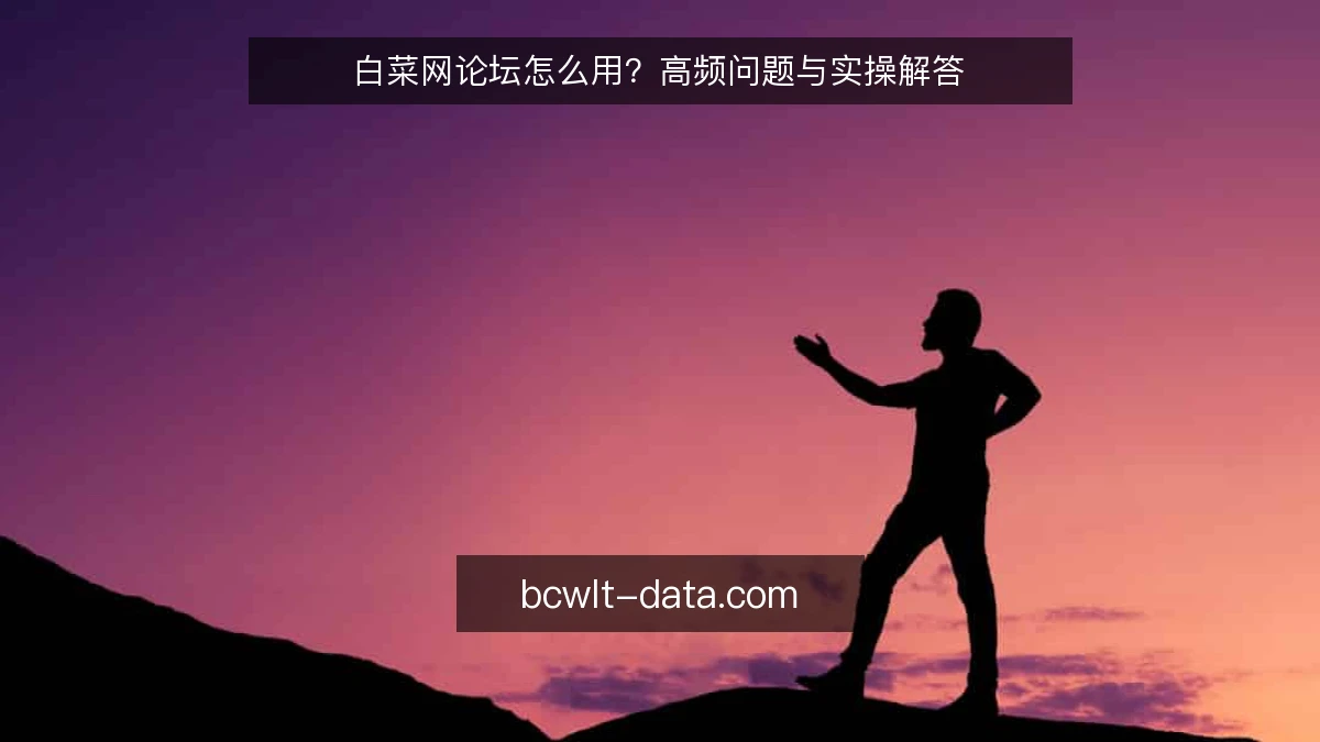 白菜网论坛怎么用?高频问题与实操解答