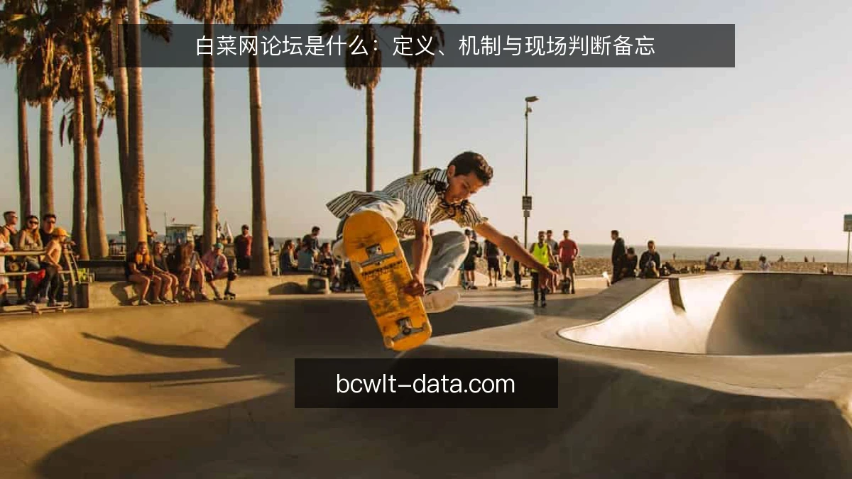 白菜网论坛是什么：定义、机制与现场判断备忘