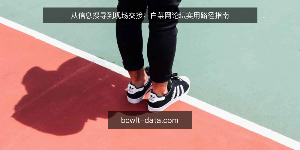 从信息搜寻到现场交接:白菜网论坛实用路径指南 — 信息搜寻的起点:从关键词到入口判断 配图