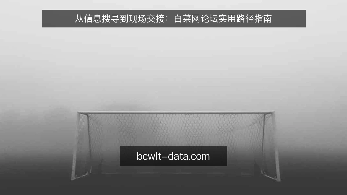 从信息搜寻到现场交接:白菜网论坛实用路径指南