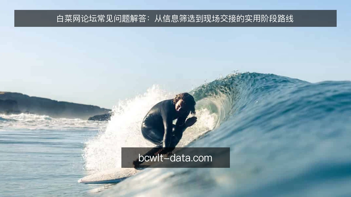 白菜网论坛常见问题解答：从信息筛选到现场交接的实用阶段路线