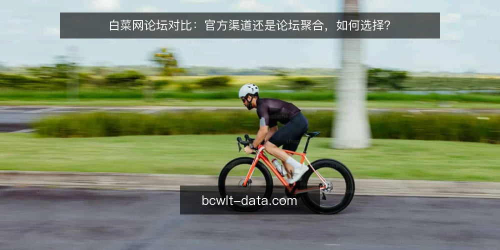 白菜网论坛对比：官方渠道还是论坛聚合，如何选择？ — 为何现在需要审计信息源 配图