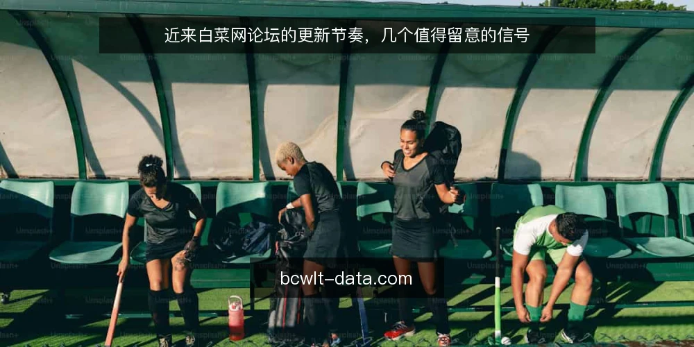近来白菜网论坛的更新节奏，几个值得留意的信号 — 近期值得留意的更新信号 配图