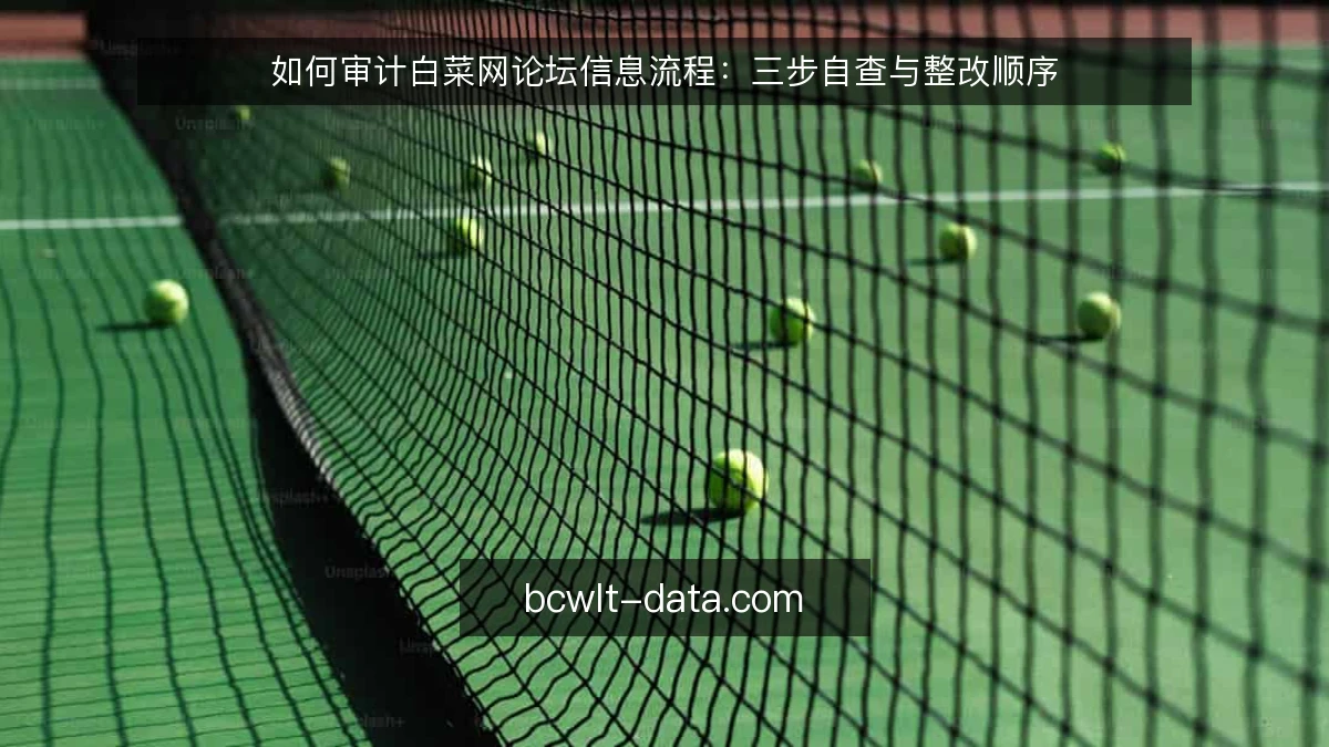 如何审计白菜网论坛信息流程：三步自查与整改顺序