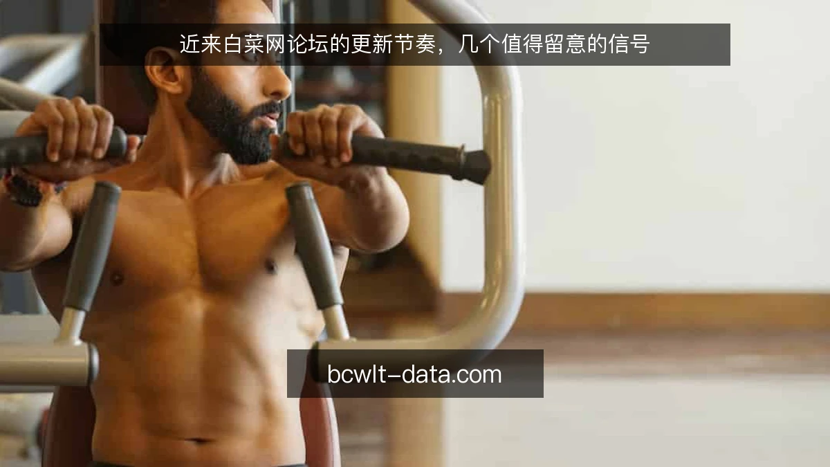 近来白菜网论坛的更新节奏，几个值得留意的信号