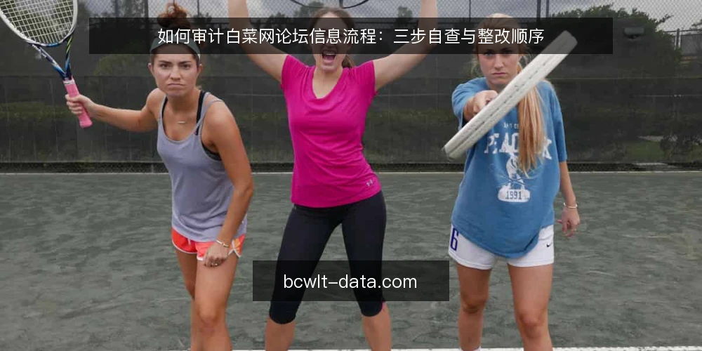 如何审计白菜网论坛信息流程：三步自查与整改顺序 — 为什么现在要审计信息流程 配图