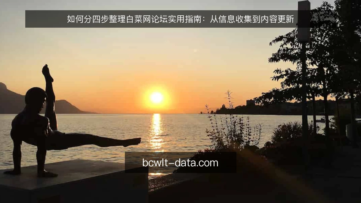 如何分四步整理白菜网论坛实用指南：从信息收集到内容更新