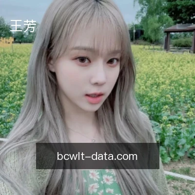 王芳